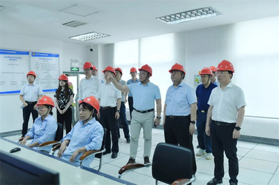 最高法咨询委员会副主任兼秘书长杜万华一行莅临澄星股份考察指导