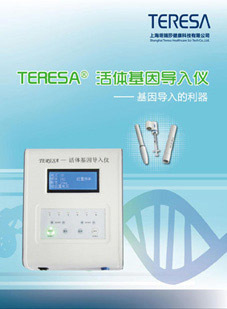 信息技术咨询 数字化转型的关键伙伴