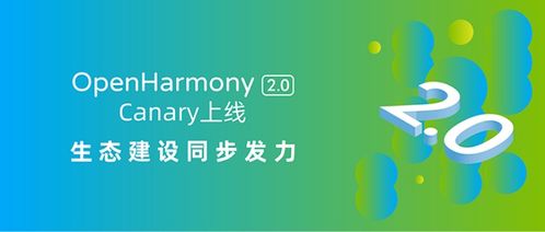 诚迈科技与开源鸿蒙OpenHarmony 角色定位与技术咨询分析